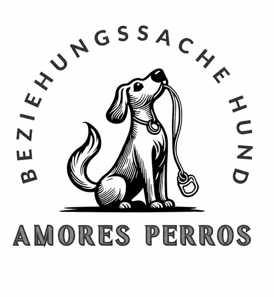 Beziehungssache Hund