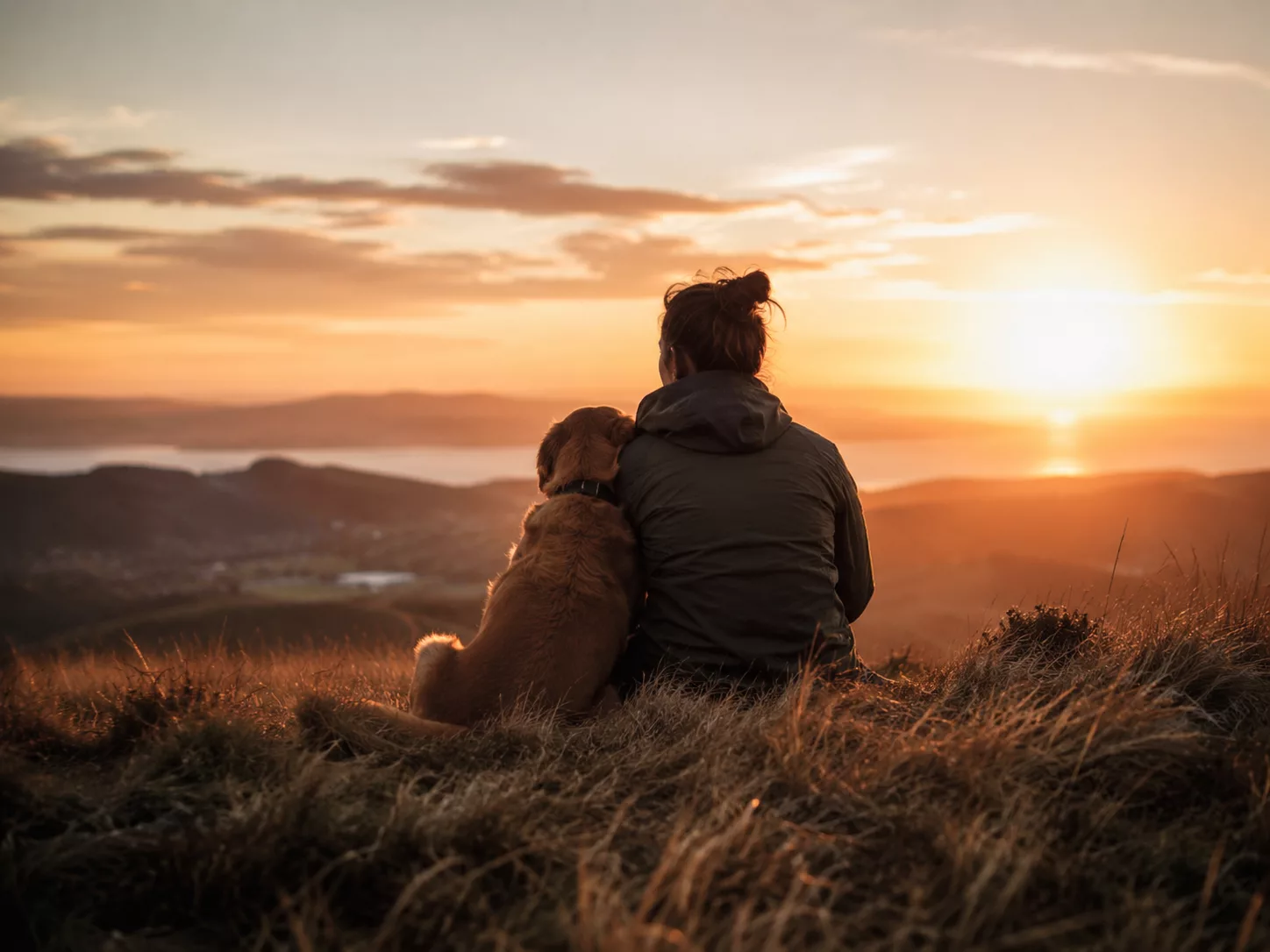 Mensch und Hund in einer verbindenden Alltagssituation bei Sonnenuntergang